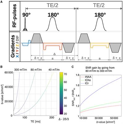 Practical considerations of diffusion-weighted MRS with ultra-strong diffusion gradients